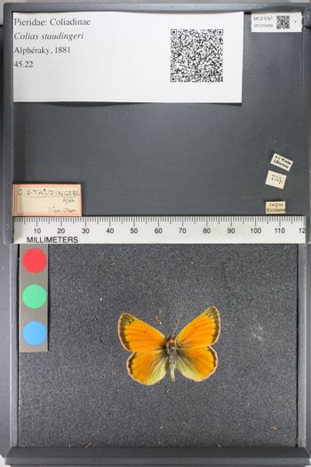 Media type: image;   Entomology 125434